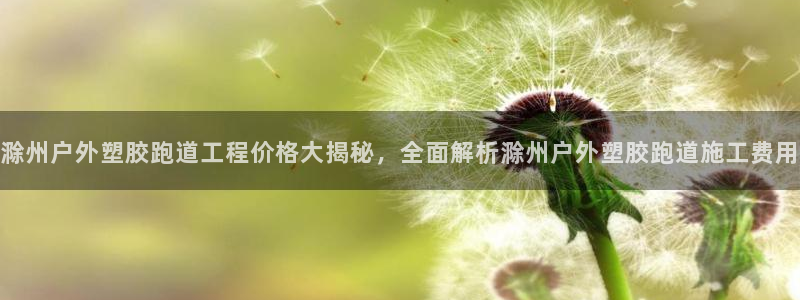 红足1一世足球手机：滁州户外塑胶跑道工程价格大揭秘，全面解析滁州户外塑胶跑道施工费用