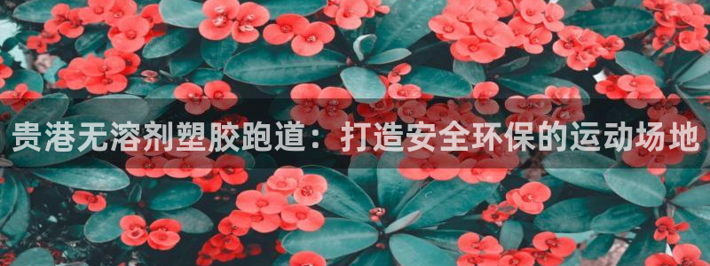 百度红足一1是什么样子的：贵港无溶剂塑胶跑道：打造安全环保的运动场地