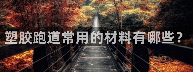 红足一比分网：塑胶跑道常用的材料有哪些？