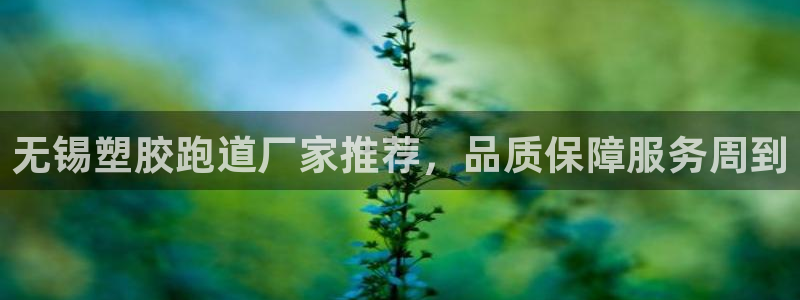 红足1世官网：无锡塑胶跑道厂家推荐，品质保障服务周到