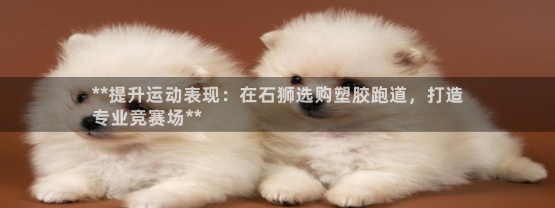 百度红足一1是为什么：**提升运动表现：在石狮选购塑胶跑道，打造
专业竞赛场**