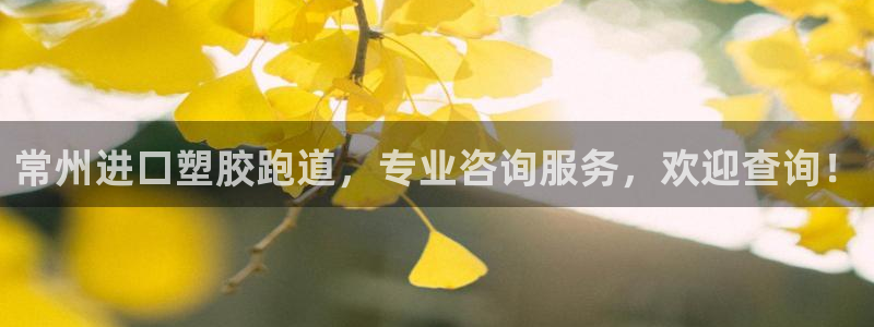 红足1一世：常州进口塑胶跑道，专业咨询服务，欢迎查询！