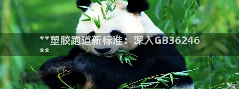 红足1一世足球手机：**塑胶跑道新标准：深入GB36246
**