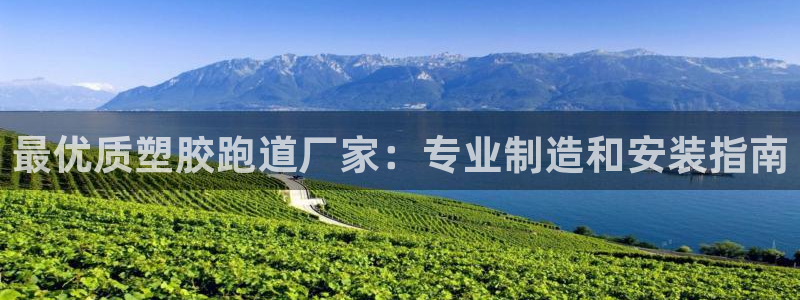 百度红足一1世：最优质塑胶跑道厂家：专业制造和安装指南
