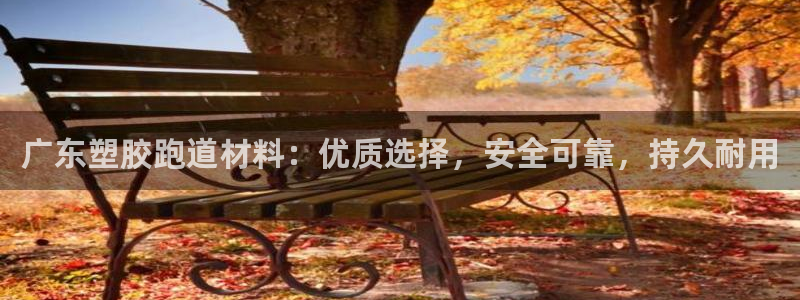 红足一一世足球网开奖记录：广东塑胶跑道材料：优质选择，安全可靠，持久耐用