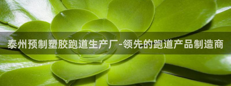 红足一生世：泰州预制塑胶跑道生产厂-领先的跑道产品制造商