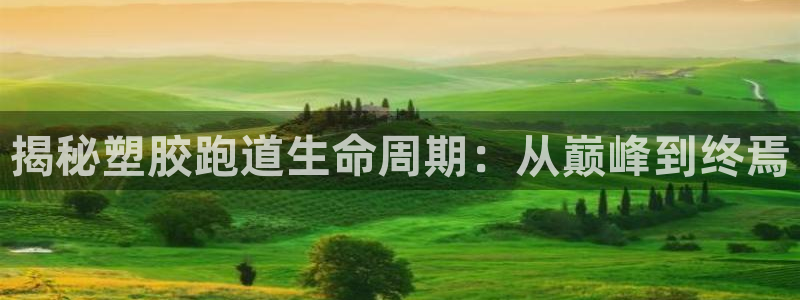 百度红足一1世：揭秘塑胶跑道生命周期：从巅峰到终焉