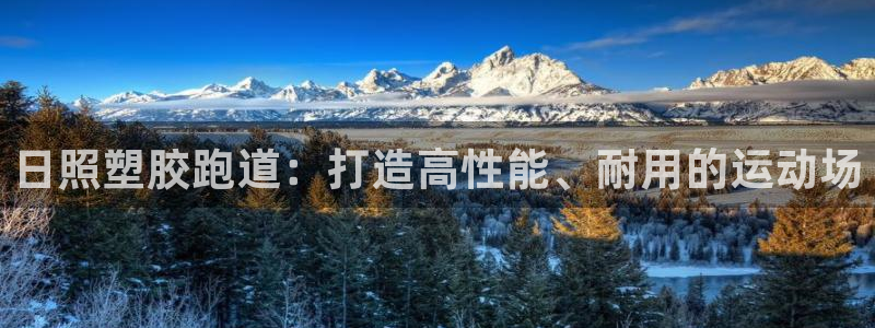 红足一1世平台：日照塑胶跑道：打造高性能、耐用的运动场