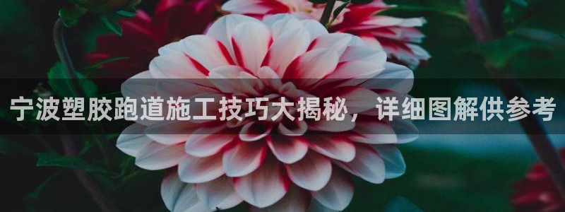 红足一1世666814足球：宁波塑胶跑道施工技巧大揭秘，详细图解供参考