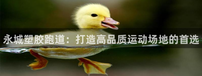 红足1世足球比分：永城塑胶跑道：打造高品质运动场地的首选