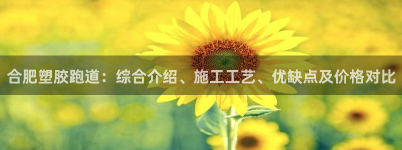 百度红足一1世：合肥塑胶跑道：综合介绍、施工工艺、优缺点及价格对比