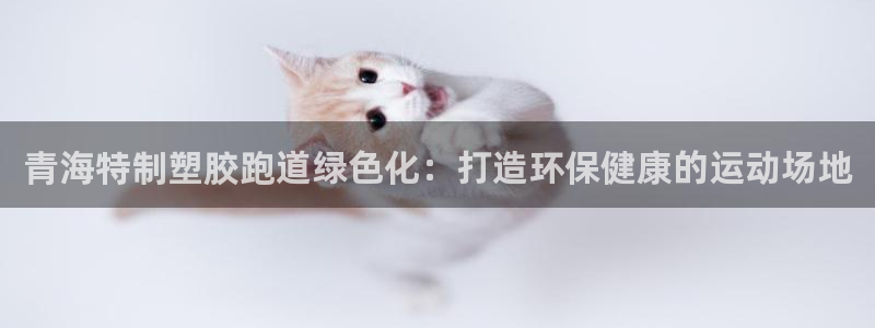 新2足球平台出租网站：青海特制塑胶跑道绿色化：打造环保健康的运动场地