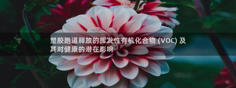 红足一1世66814：塑胶跑道释放的挥发性有机化合物 (VOC) 及
其对健康的潜在影响