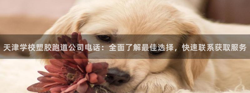 红足一丰：天津学校塑胶跑道公司电话：全面了解最佳选择，快速联系获取服务