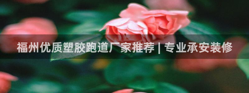 红足1世足球网址大全