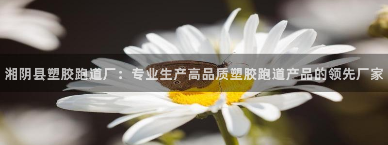66814红足：湘阴县塑胶跑道厂：专业生产高品质塑胶跑道产品的领先厂家