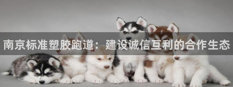 66814红足一66814世：南京标准塑胶跑道：建设诚信互利的合作生态