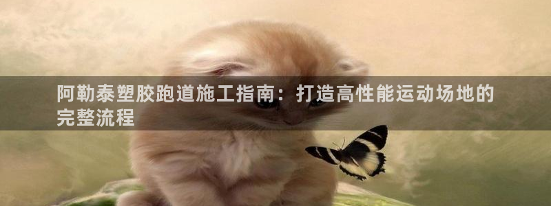 55814红足1世：阿勒泰塑胶跑道施工指南：打造高性能运动场地的
完整流程