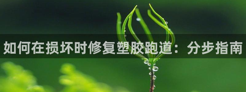 红足1世足球比分网址：如何在损坏时修复塑胶跑道：分步指南