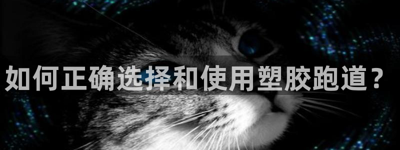 红足1世足球网址大全：如何正确选择和使用塑胶跑道？
