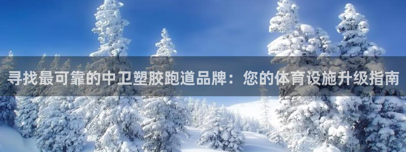 红足1世足球网址：寻找最可靠的中卫塑胶跑道品牌：您的体育设施升级指南
