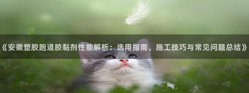 红足一1世皇冠登录：《安徽塑胶跑道胶黏剂性能解析：选用指南、施工技巧与常见问题总结》