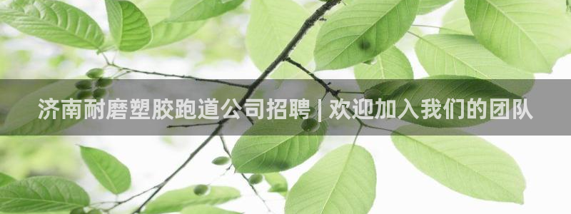 红姐现场直播开奖记录：济南耐磨塑胶跑道公司招聘 | 欢迎加入我们的团队