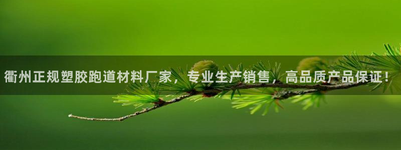 百度红足一1使用说明：衢州正规塑胶跑道材料厂家，专业生产销售，高品质产品保证！