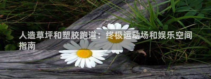 红足一1世666814足球比分网：人造草坪和塑胶跑道：终极运动场和娱乐空间
指南