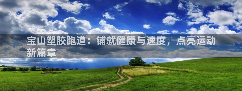 红足1一世：宝山塑胶跑道：铺就健康与速度，点亮运动
新篇章