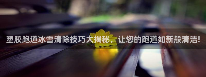 红姐现场直播开奖记录：塑胶跑道冰雪清除技巧大揭秘，让您的跑道如新般清洁!