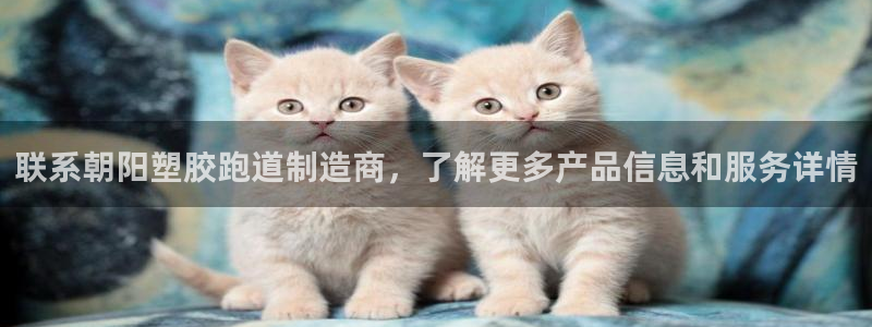 红足体育网：联系朝阳塑胶跑道制造商，了解更多产品信息和服务详情