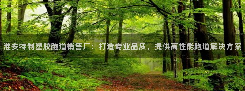 红足一丰：淮安特制塑胶跑道销售厂：打造专业品质，提供高性能跑道解决方案