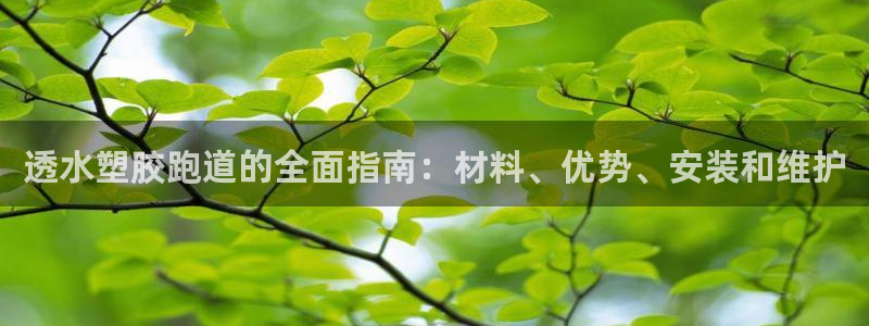 红足1世开奖预测：透水塑胶跑道的全面指南：材料、优势、安装和维护