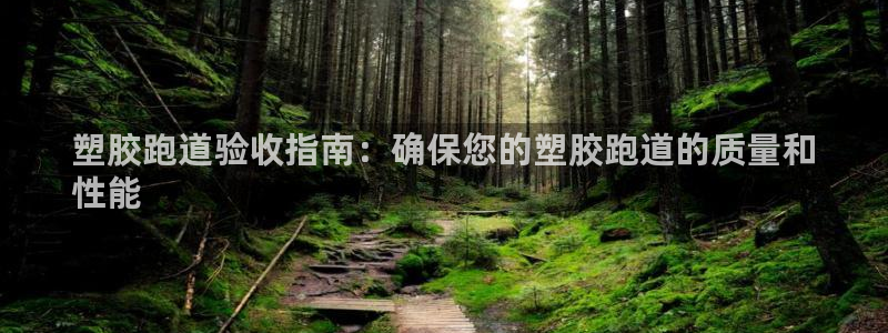 红足1一世 2站：塑胶跑道验收指南：确保您的塑胶跑道的质量和
性能