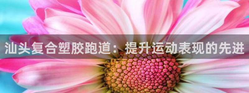 红足一1世手机皇冠：汕头复合塑胶跑道：提升运动表现的先进