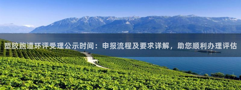 红足一1世平台：塑胶跑道环评受理公示时间：申报流程及要求详解，助您顺利办理评估