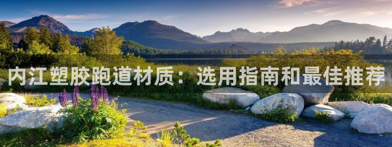 红足1世手机版下载：内江塑胶跑道材质：选用指南和最佳推荐