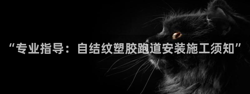 红足一生世：“专业指导：自结纹塑胶跑道安装施工须知”