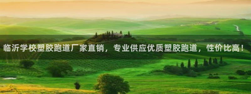 红世一足球比分：临沂学校塑胶跑道厂家直销，专业供应优质塑胶跑道，性价比高！