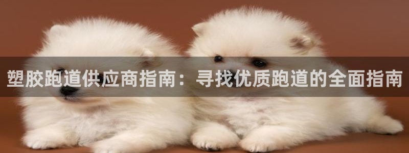 红足足球网：塑胶跑道供应商指南：寻找优质跑道的全面指南