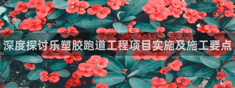 777814红·足一世比分：深度探讨乐塑胶跑道工程项目实施及施工要点
