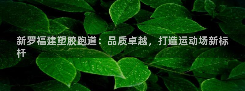红足1一世 2站：新罗福建塑胶跑道：品质卓越，打造运动场新标
杆