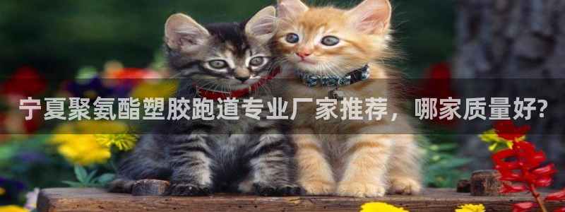 777814红·足一世比分篮球：宁夏聚氨酯塑胶跑道专业厂家推荐，哪家质量好?