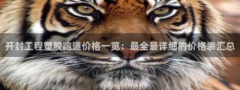 333814红足1世：开封工程塑胶跑道价格一览：最全最详细的价格表汇总