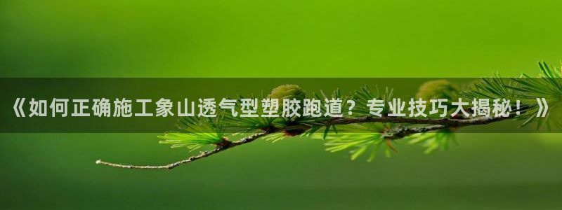 红足1世足球：《如何正确施工象山透气型塑胶跑道？专业技巧大揭秘！》