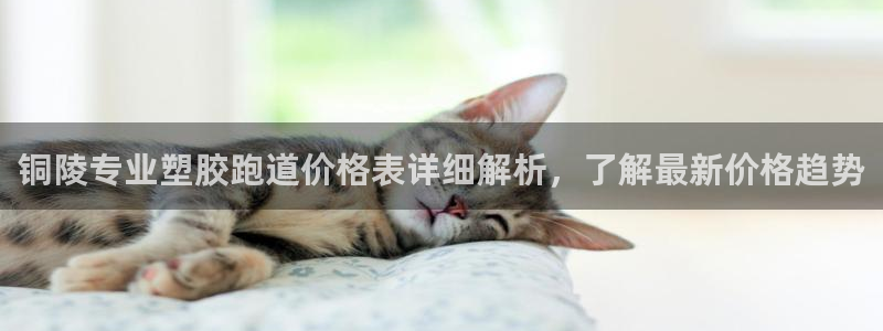 红足一1世：铜陵专业塑胶跑道价格表详细解析，了解最新价格趋势