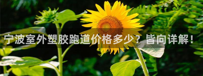 红足l一世开奖现场62ty：宁波室外塑胶跑道价格多少？皆向详解！
