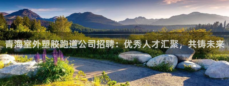 红足一1世皇冠：青海室外塑胶跑道公司招聘：优秀人才汇聚，共铸未来