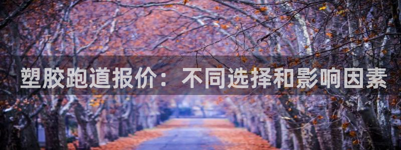 66814红足一66814世： 塑胶跑道报价：不同选择和影响因素
